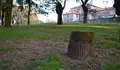 O BNG reclama un plan director para o parque da Alameda