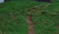 O BNG traslada a demanda para arranxar a contorna das escaleiras de Salgueriños que demanda a veciñanza