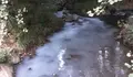 Goretti Sanmartín insta a controlar as verteduras ao río Sar no tramo posterior á piscina municipal