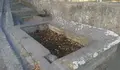 O BNG reclama no Pleno a recuperación dos lavadoiros deteriorados de Laraño