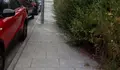 O BNG insta a rozar, de urxencia, a vexetación que invade beirarrúas e espazos públicos en todas as parroquias