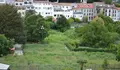 O BNG demanda unha nova convocatoria de hortas urbanas e o acompañamento formativo neste programa