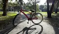O BNG apoia a proposta de crear vías sinalizadas para facilitar o uso de bicicletas