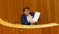 O BNG rexistra no Parlamento iniciativas para que a Xunta considere a construción do Imelga en Santiago afastado de zona residencial