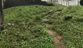 O BNG propón a mellora da mobilidade, seguranza viaria e reurbanización do barrio de Salgueiriños