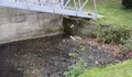 O BNG reclama unha limpeza continuada do estanque no parque do Auditorio de Galiza