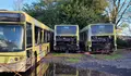 O BNG solicita a convocatoria dun Consello extraordinario de Tussa para reclamar a urxente revisión dos autobuses urbanos