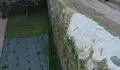 O BNG demanda a mellora dos servizos básicos, dos accesos e da seguranza viaria no Viso
