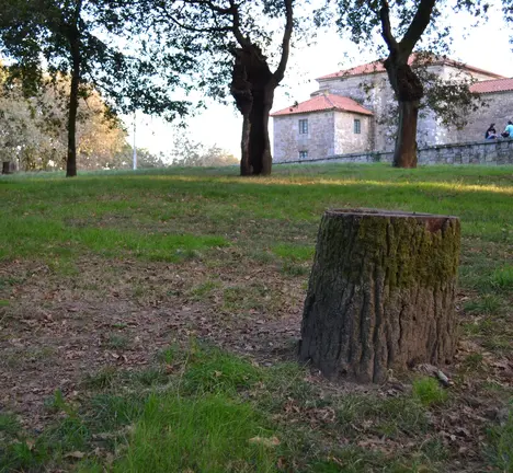 alameda 008