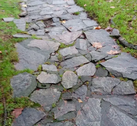 ruaoteropedraio