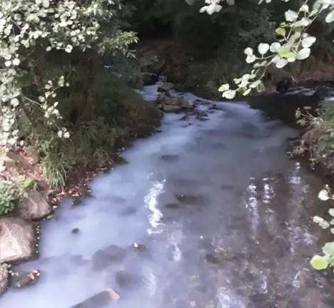 R&iacute;o Sar
