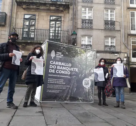Reparto da campa&ntilde;a sobre Rosal&iacute;a de Castro